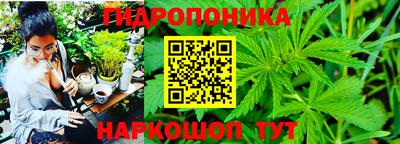 кокс Краснодар